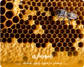 Screenshot 2021-09-14 at 17-11-01 فروشگاه   عسل خرید اینترنتی عسل مرغوب